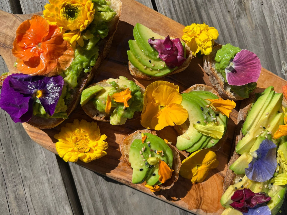 Toasted Sesame Oil Avocado Toast – La Tourangelle