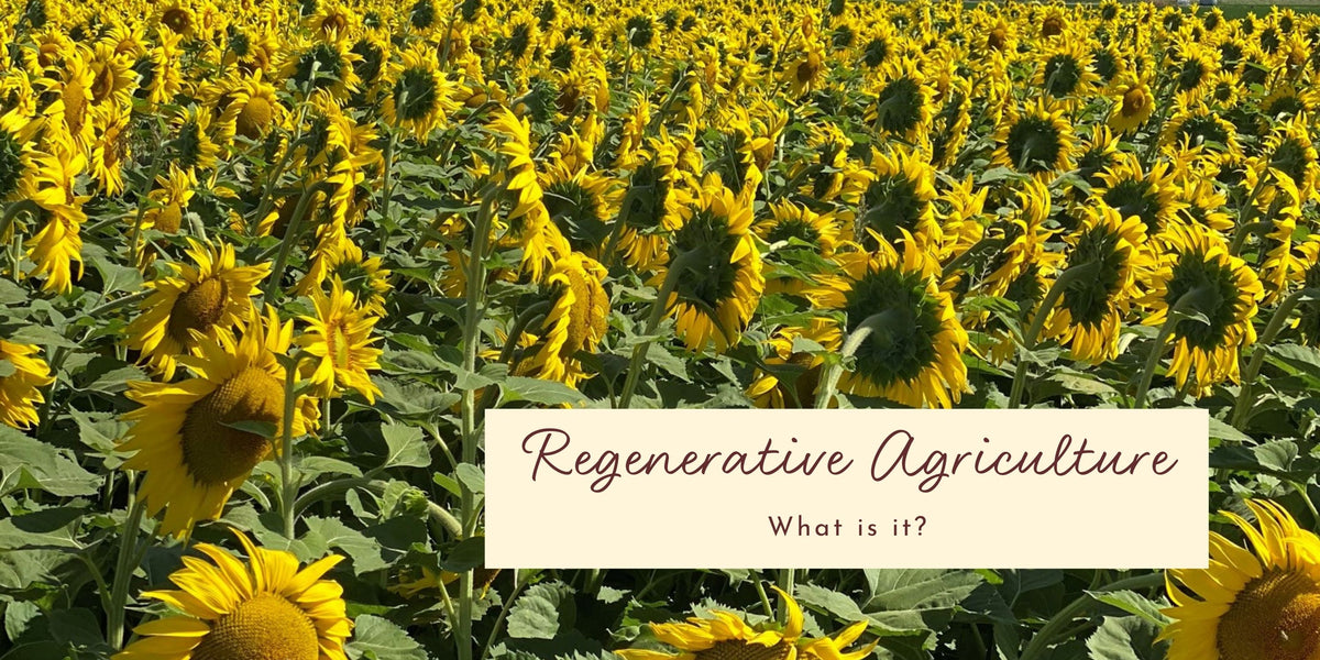 Regenerative Agriculture: Definition