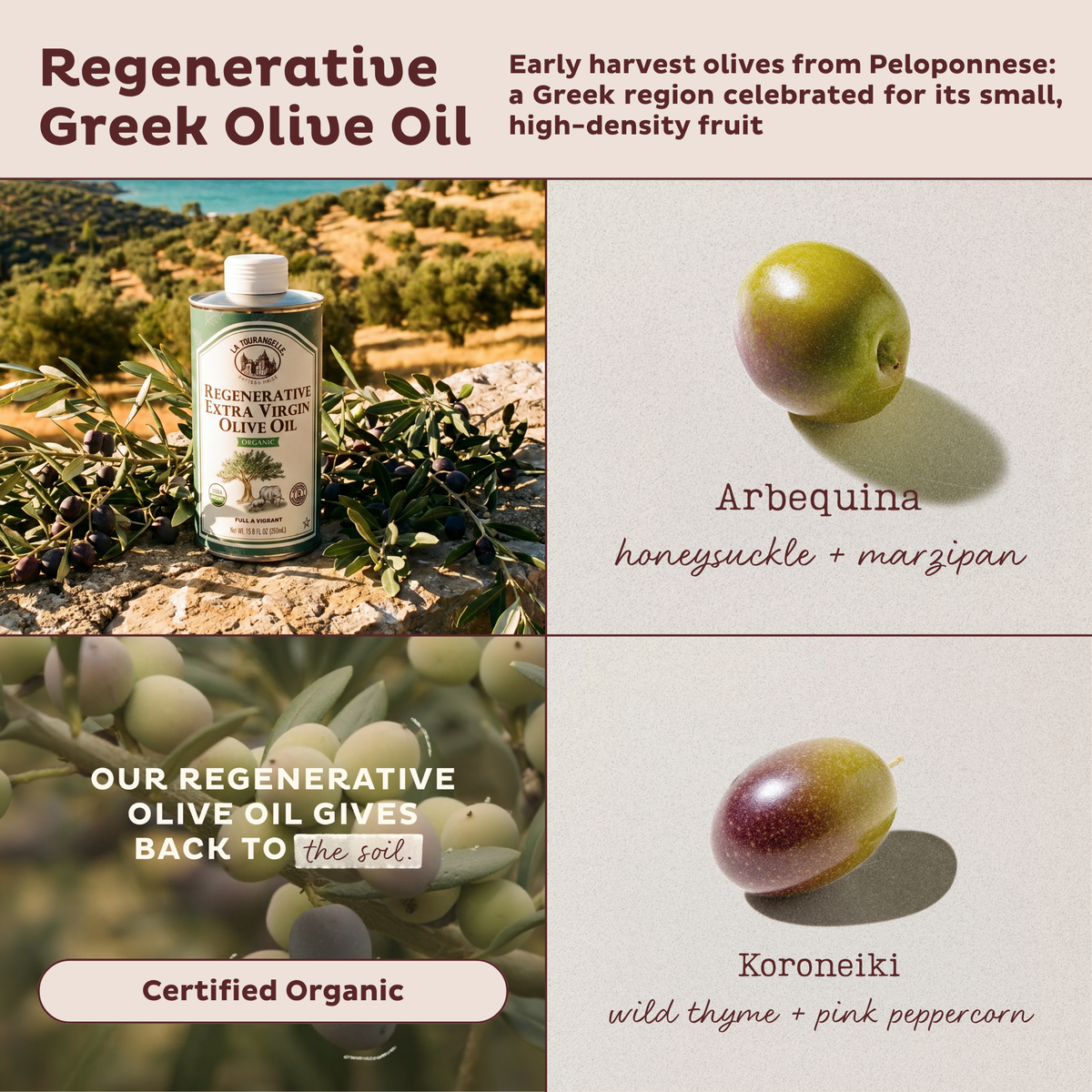 Regenerative Extra Virgin Olive Oil – La Tourangelle