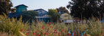 La Tourangelle mill in France with plants in front.