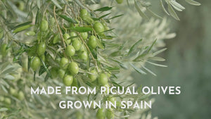
                  
                    Cargar y reproducir el video en el visor de la galería, Organic Extra Virgin Olive Oil - Cooking Spray info
                  
                