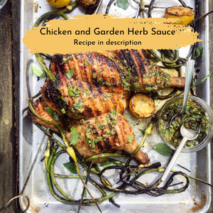 
                  
                    Chicken and Garden Herb Sauce
                  
                