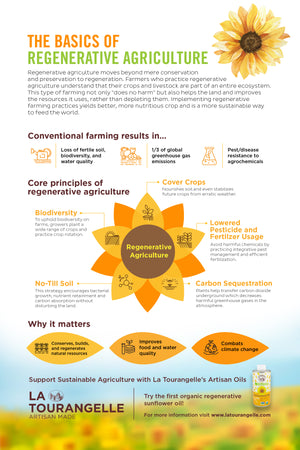 
                  
                    the basics of regenerative agriculture
                  
                